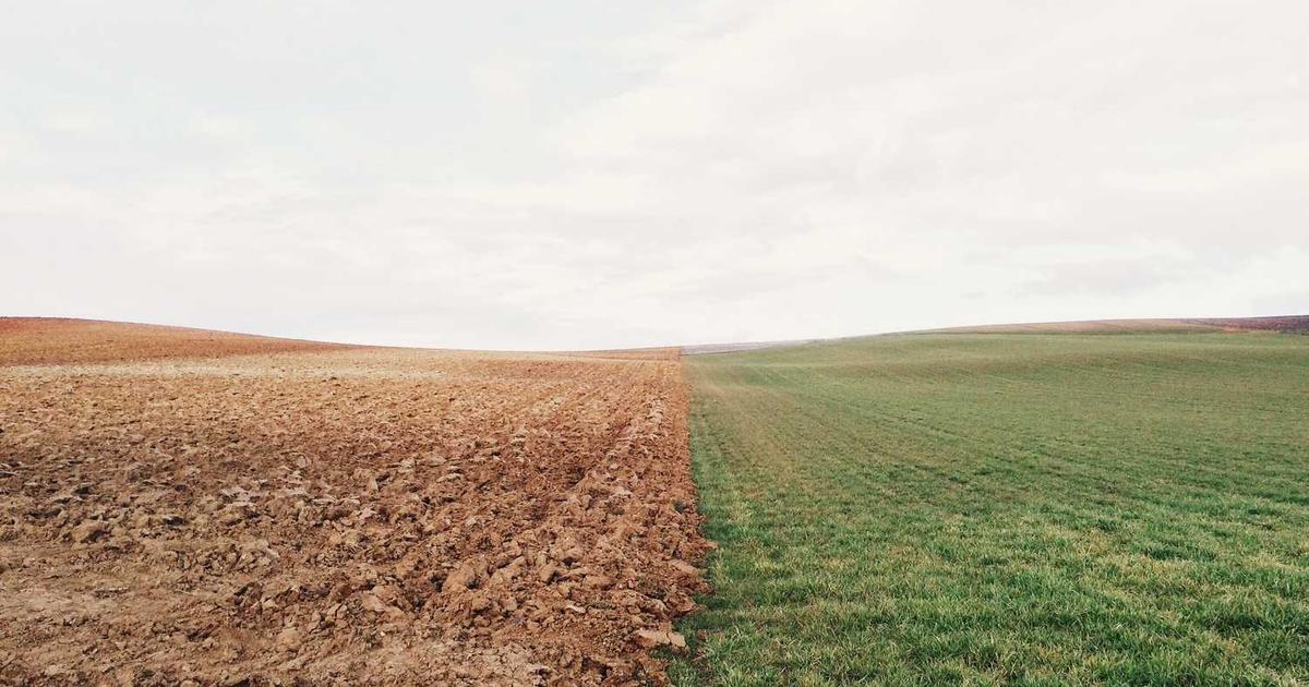 Mercedes Vito Vip Taksi'nin geniş ve konforlu iç mekanı